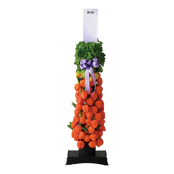 ��c��ԉ� �z�I�Y�L�^���[�y���͂����ԁF8����{�`�z